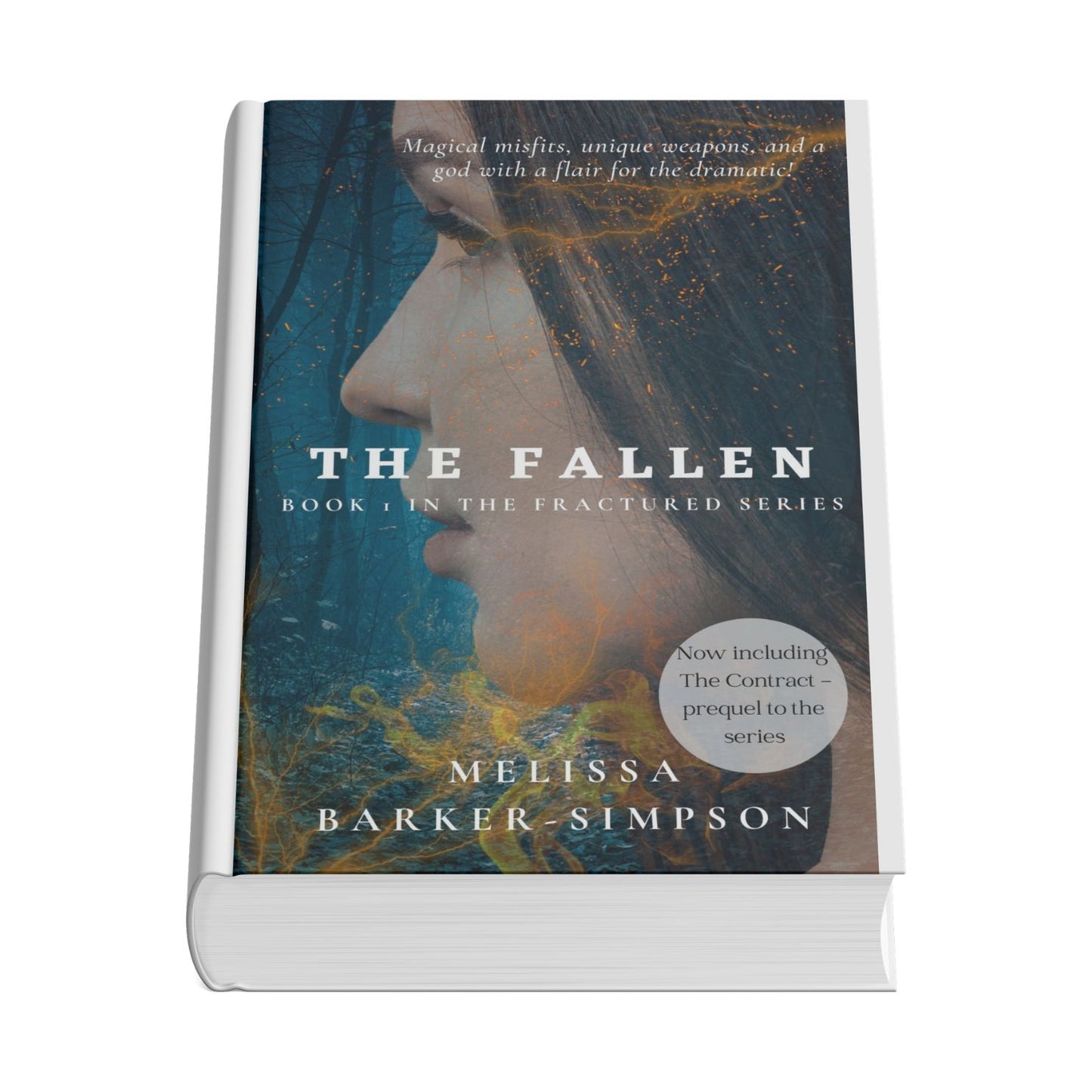 The Fallen - Book 1 in The Fractured series