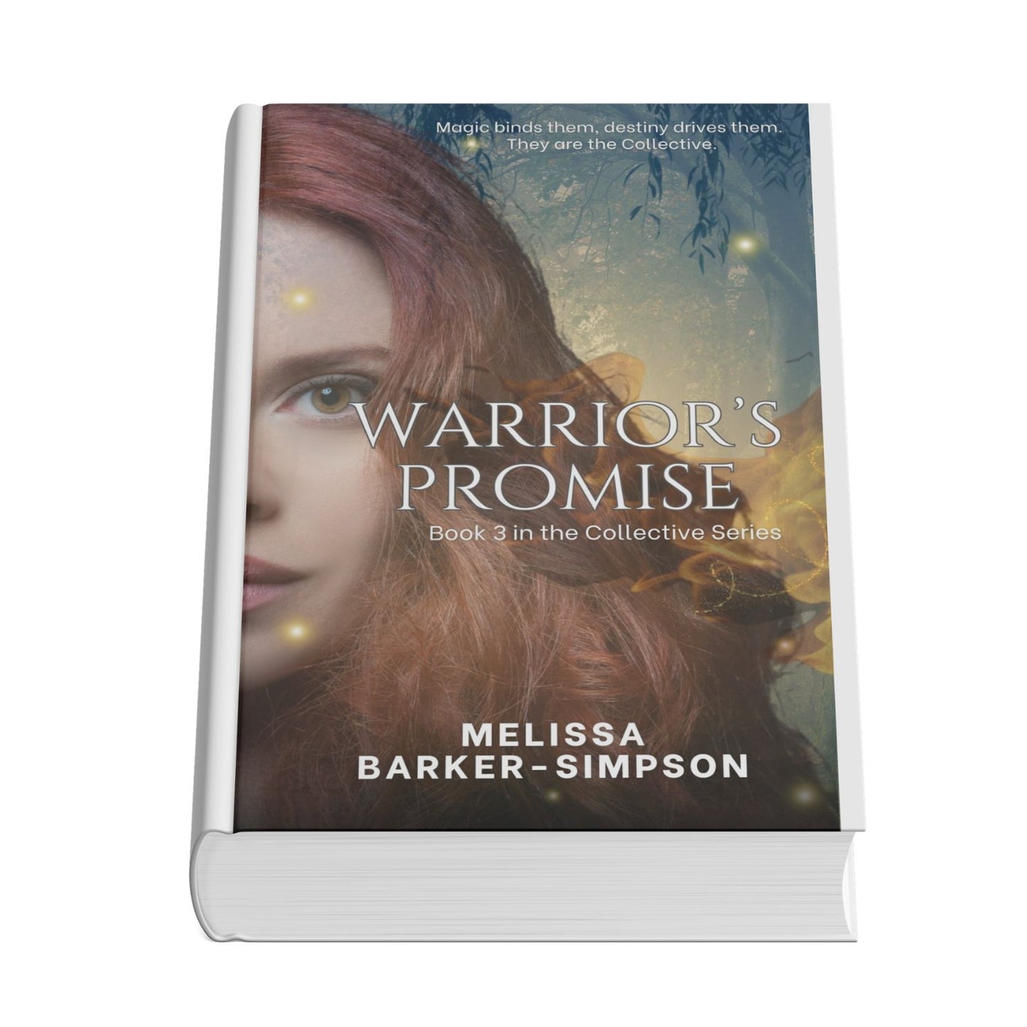 Warrior's Promise - Book 3 in The Collective series